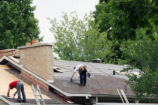 Best Local Roofing Companies  in Ladysmith, WI